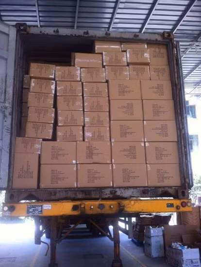 Huevera aislada terma del vacío del acero inoxidable del trago de la forma del OEM 12oz U